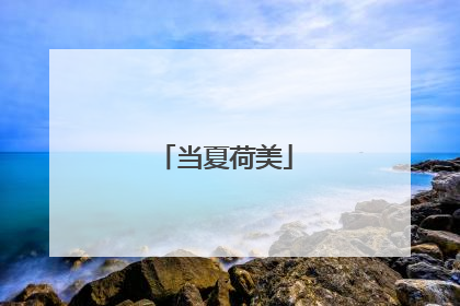 当夏荷美