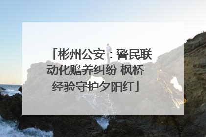 彬州公安：警民联动化赡养纠纷 枫桥经验守护夕阳红