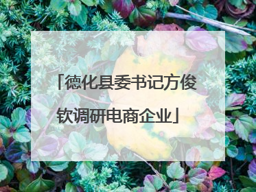 德化县委书记方俊钦调研电商企业