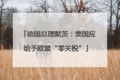 德国总理默茨：美国应给予欧盟“零关税”
