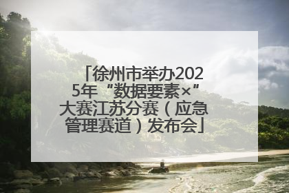 徐州市举办2025年“数据要素×”大赛江苏分赛（应急管理赛道）发布会