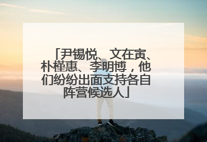 尹锡悦、文在寅、朴槿惠、李明博，他们纷纷出面支持各自阵营候选人
