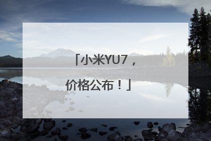 小米YU7，价格公布！