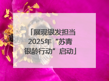 展现银发担当 2025年“苏青银龄行动”启动
