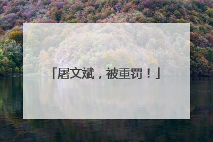 屠文斌，被重罚！