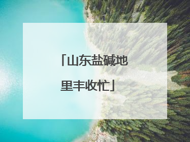 山东盐碱地里丰收忙