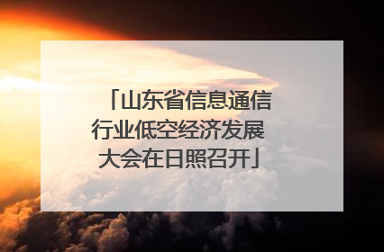 山东省信息通信行业低空经济发展大会在日照召开