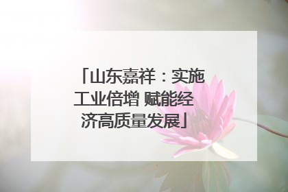 山东嘉祥：实施工业倍增 赋能经济高质量发展