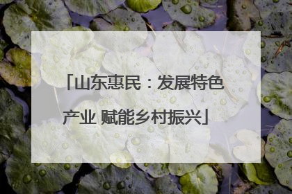 山东惠民：发展特色产业 赋能乡村振兴