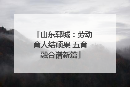 山东郓城：劳动育人结硕果 五育融合谱新篇