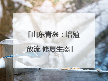 山东青岛：增殖放流 修复生态