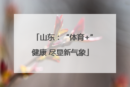 山东：“体育+”健康 尽显新气象