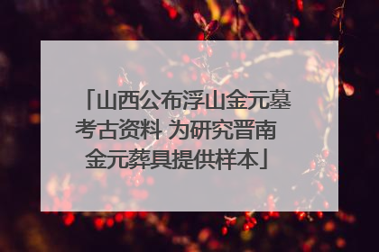山西公布浮山金元墓考古资料 为研究晋南金元葬具提供样本