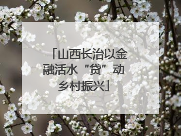 山西长治以金融活水“贷”动乡村振兴
