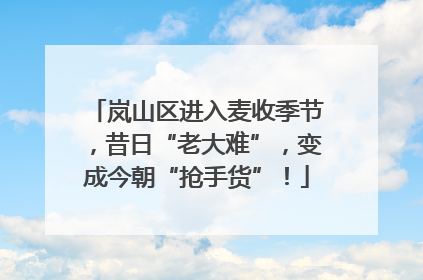 岚山区进入麦收季节，昔日“老大难”，变成今朝“抢手货”！