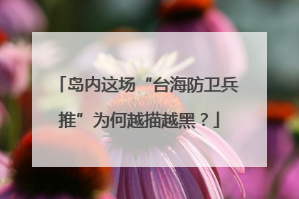 岛内这场“台海防卫兵推”为何越描越黑？