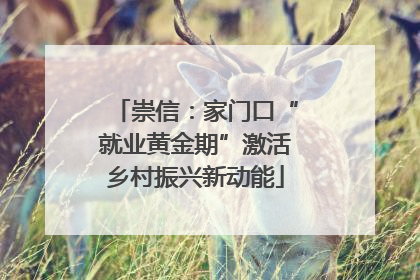 崇信：家门口“就业黄金期”激活乡村振兴新动能