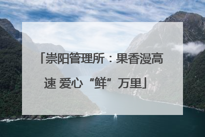 崇阳管理所：果香漫高速 爱心“鲜”万里
