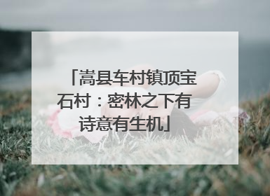 嵩县车村镇顶宝石村：密林之下有诗意有生机