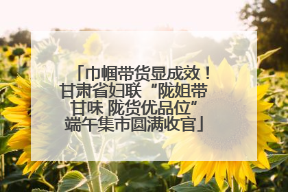 巾帼带货显成效！甘肃省妇联“陇姐带甘味 陇货优品位”端午集市圆满收官