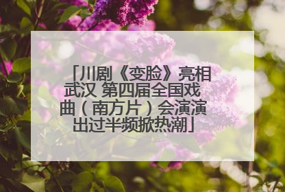 川剧《变脸》亮相武汉 第四届全国戏曲（南方片）会演演出过半频掀热潮