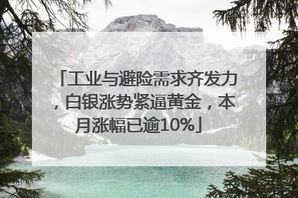 工业与避险需求齐发力，白银涨势紧逼黄金，本月涨幅已逾10%