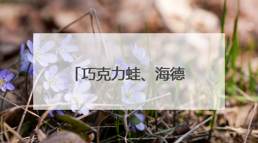 巧克力蛙、海德薇，北京地铁站内可以买到“魔法”交通卡了