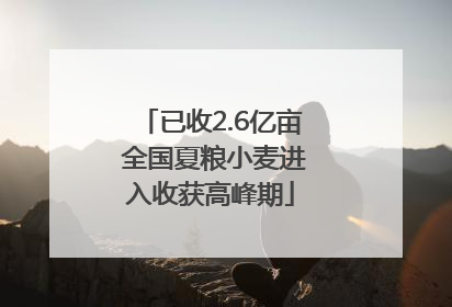 已收2.6亿亩 全国夏粮小麦进入收获高峰期