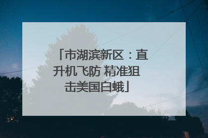 市湖滨新区：直升机飞防 精准狙击美国白蛾