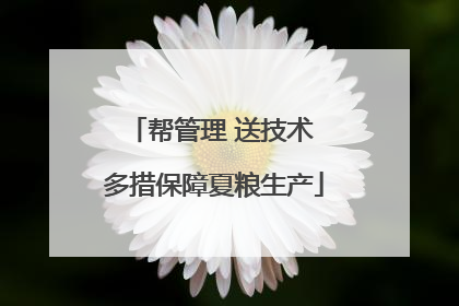 帮管理 送技术 多措保障夏粮生产