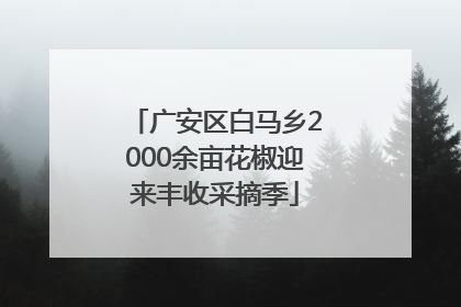 广安区白马乡2000余亩花椒迎来丰收采摘季