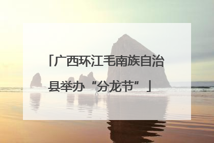 广西环江毛南族自治县举办“分龙节”