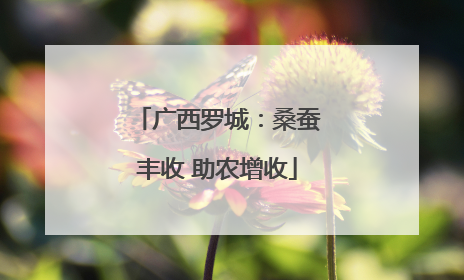 广西罗城：桑蚕丰收 助农增收