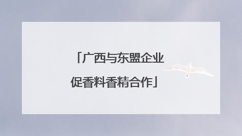 广西与东盟企业促香料香精合作