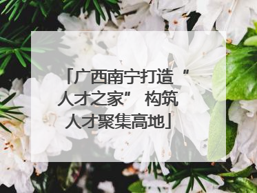 广西南宁打造“人才之家” 构筑人才聚集高地