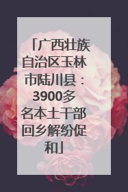 广西壮族自治区玉林市陆川县：3900多名本土干部回乡解纷促和
