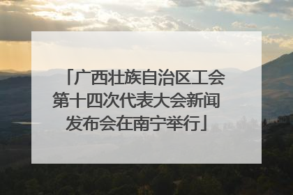 广西壮族自治区工会第十四次代表大会新闻发布会在南宁举行