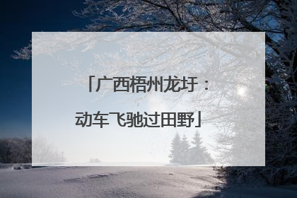 广西梧州龙圩：动车飞驰过田野