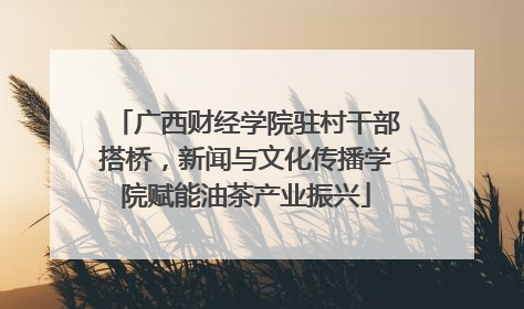 广西财经学院驻村干部搭桥，新闻与文化传播学院赋能油茶产业振兴
