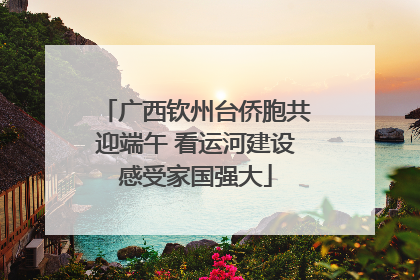 广西钦州台侨胞共迎端午 看运河建设感受家国强大
