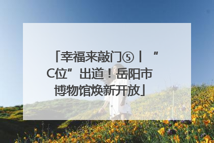 幸福来敲门⑤丨“C位”出道！岳阳市博物馆焕新开放