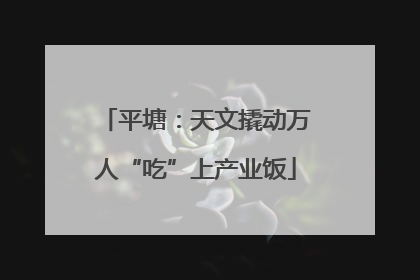 平塘：天文撬动万人“吃”上产业饭