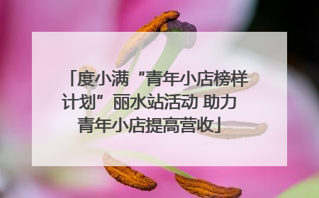 度小满“青年小店榜样计划”丽水站活动 助力青年小店提高营收
