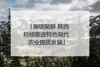 强链聚群 陕西持续推进特色现代农业提质发展