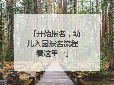 开始报名，幼儿入园报名流程看这里→