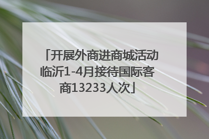 开展外商进商城活动 临沂1-4月接待国际客商13233人次
