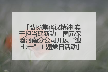 弘扬焦裕禄精神 实干担当建新功—国元保险河南分公司开展“迎七一”主题党日活动