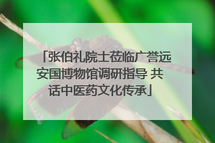 张伯礼院士莅临广誉远安国博物馆调研指导 共话中医药文化传承