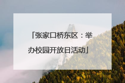 张家口桥东区：举办校园开放日活动