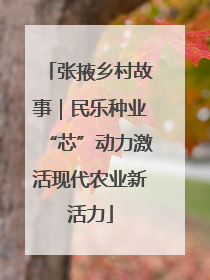 张掖乡村故事｜民乐种业“芯”动力激活现代农业新活力